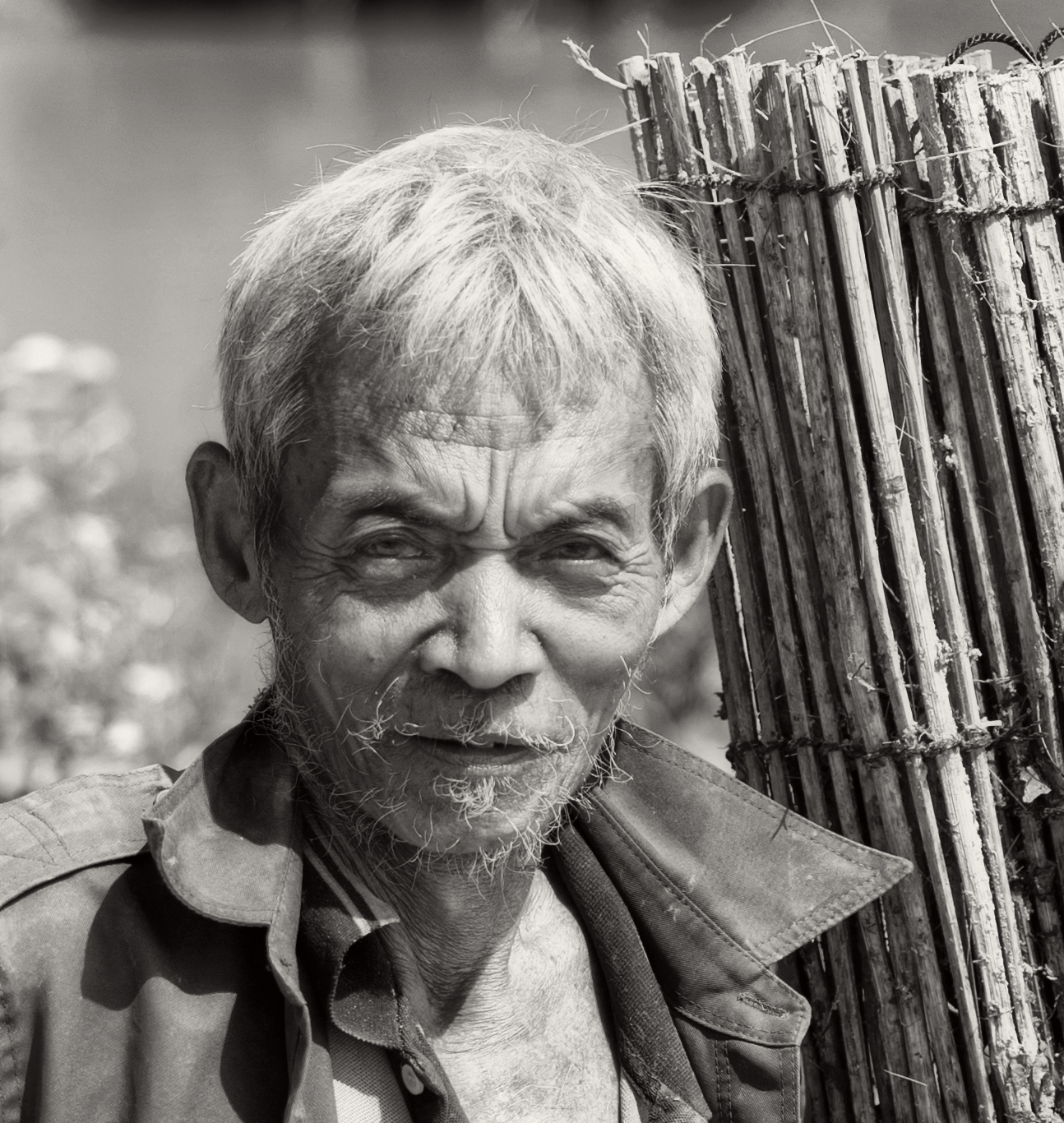 Cambodia Man – Flies On A Wall